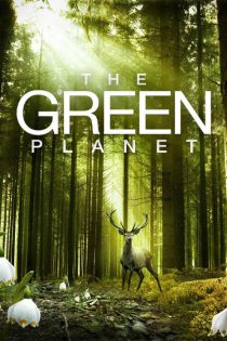 مستند سیاره سبز | The Green Planet 2022